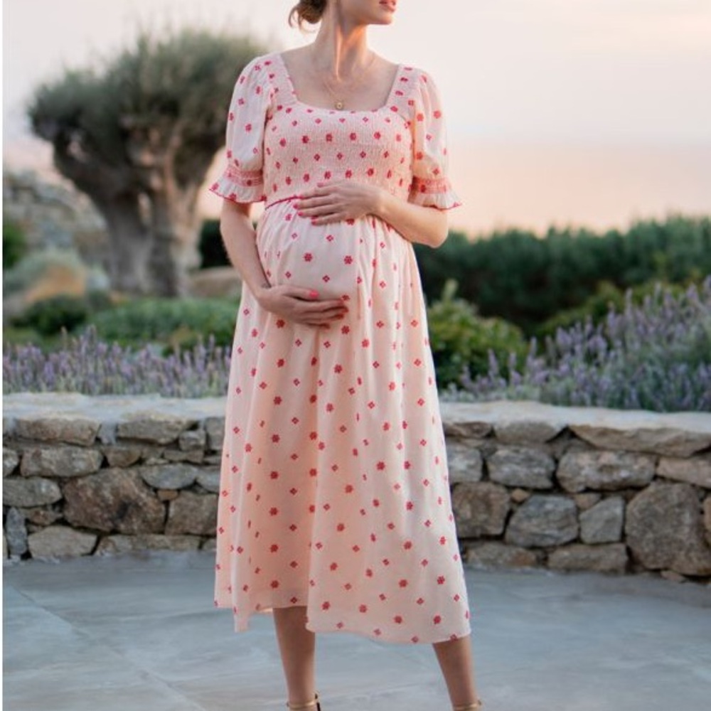 Seraphine Rose Embroidered Cotton Maternity & Nursing Dress